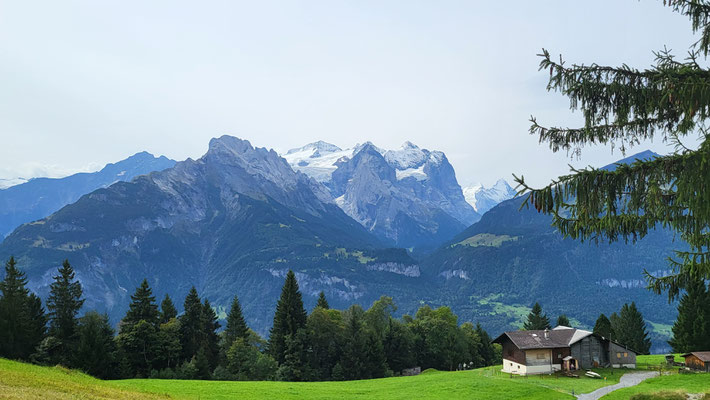 Aussicht vom Hasliberg