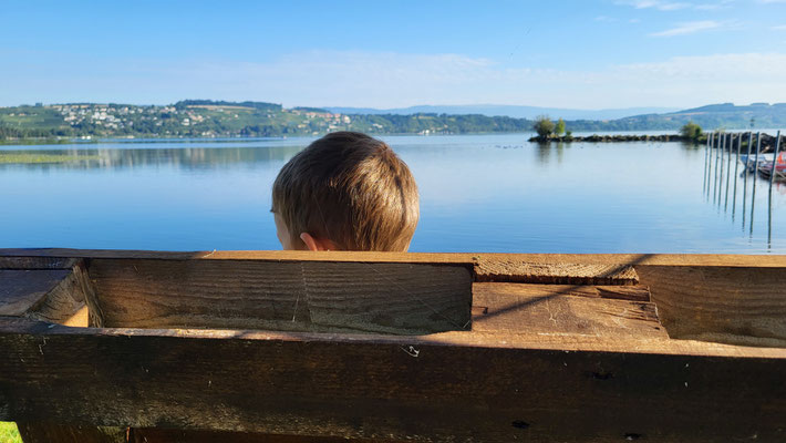 Frühaufsteher David geniesst die Morgenstimmung