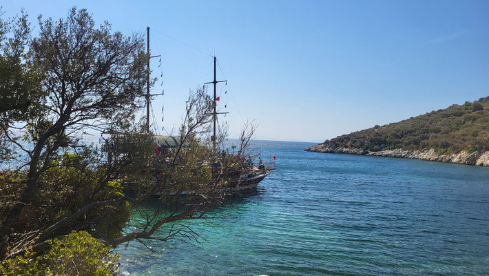 Das Schiff hinter den bäumen