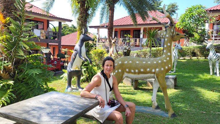 Cooles Hotel