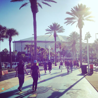 Das "Tropicana Field" in St. Petersburg