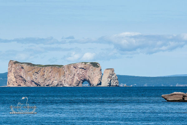 Rocher Percé