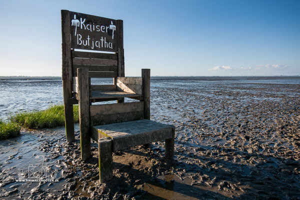 Der Meisterstuhl von Kaiser Butjatha im Watt von Dangast