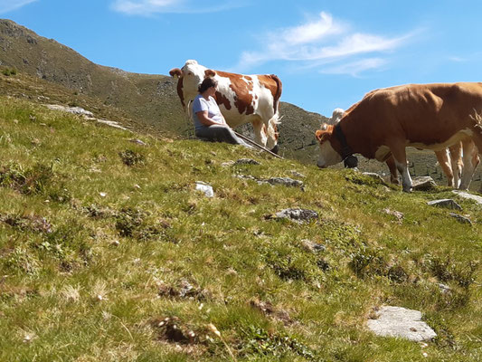 Unsere Tiere auf der Alm