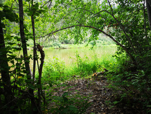 Romantic Campground