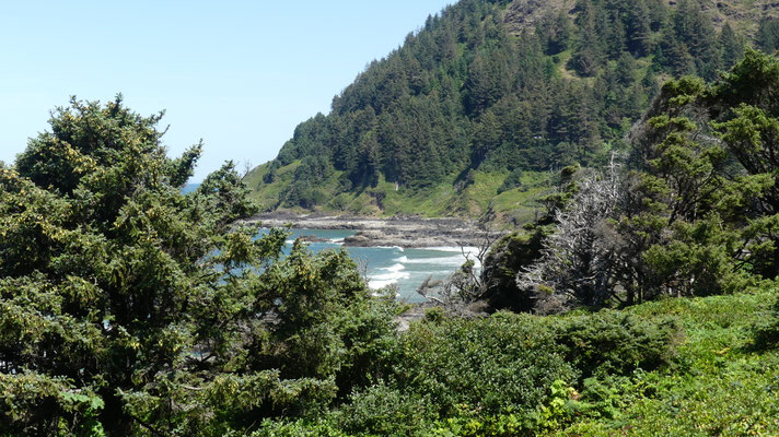 Pazifikküste, südliches Oregon