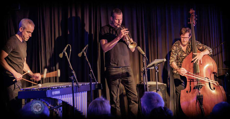 Oli Bott Quartett