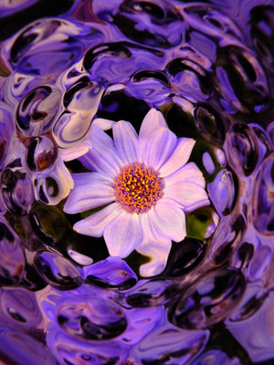 「blueming#003」