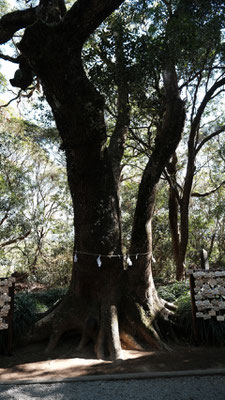 2023年　初詣 江田神社005