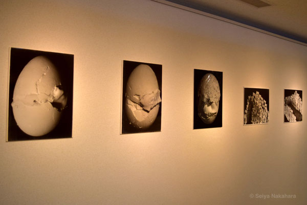 日岡兼三作「たまご」の写真作品