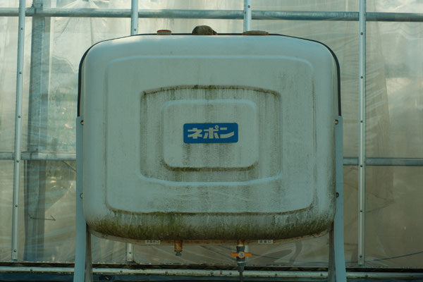 2024年、秋空が良い色013