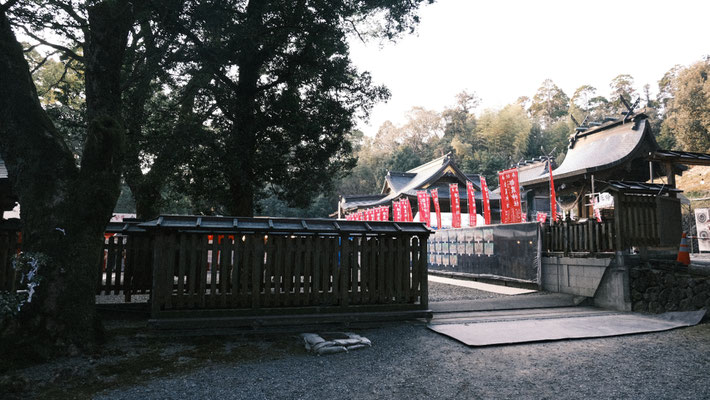 2023年　初詣　都農神社002