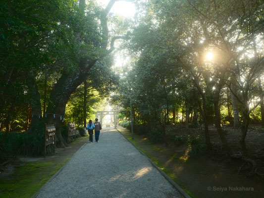 江田神社の参道を歩く若い二人。
