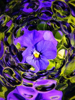 「blueming#001」