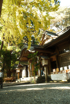 2023年 高千穂神社01