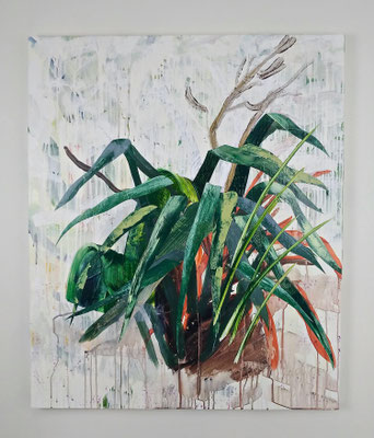 🔴 'New Zealand Flax', acrylic on panel. 43" x 36"