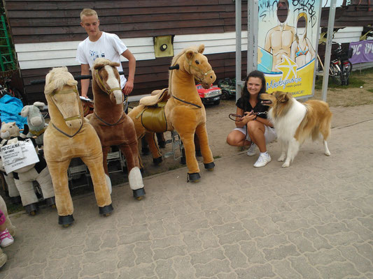 das sind aber komische Pferde äh Ponys