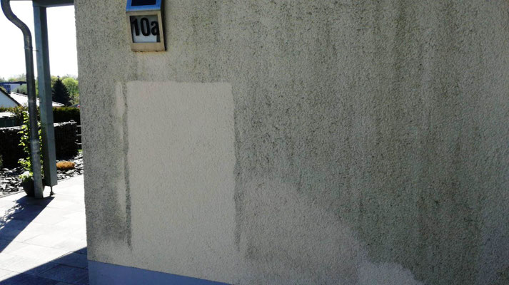 Kosten einer Algenentfernung an der Fassade, werden anhand der Musterfläche berechnet