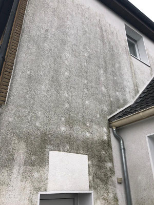 Die Reinigung der Fassade bei Algenbefall prüft man vorab