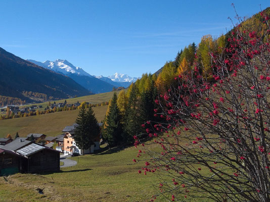 Oberhalb von Reckingen