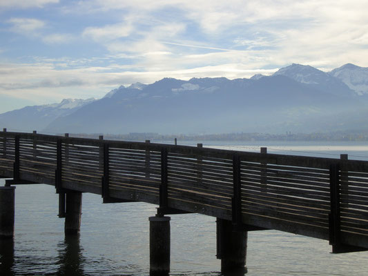 Holzsteg mit den Schwyzer Voralpen