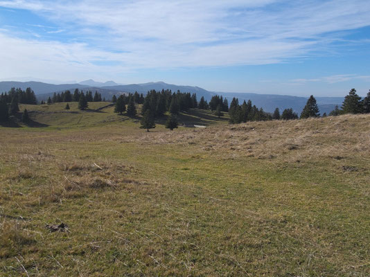 Blick über die Juralandschaft nach Südwesten