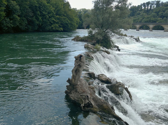 Wassermassen kurz vor Erreichen des Rheinfalls