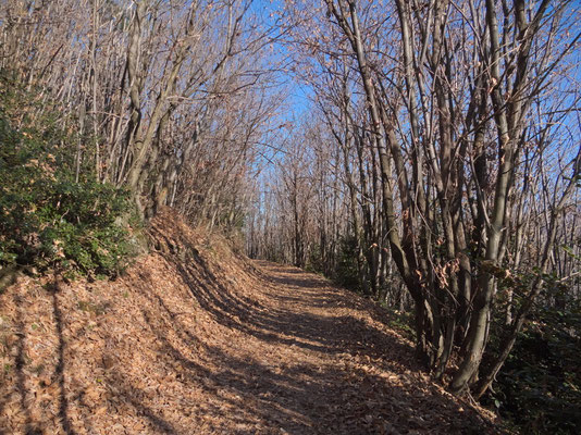 Der Wanderweg nach Baslona verläuft im Kastanienwald