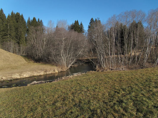 Die Biber bildet die Grenze zwischen den Kantonen Schwyz und Zug