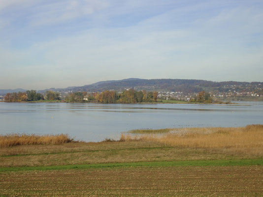 Die Insel Ufenau und das Ufer beim Seedamm. Das Gebiet ist Teil des eines Naturdenkmals von nationaler Bedeutung.