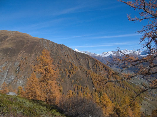 Herstfarben an den Berghängen