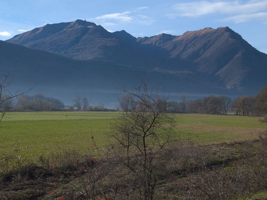 EinTeil des gewonnenen Weidelands mit dem Monte Tamaro