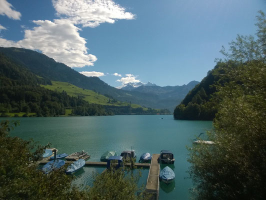 Bootsanlegestelle Bürglen. Hinten Wetterhorngruppe 