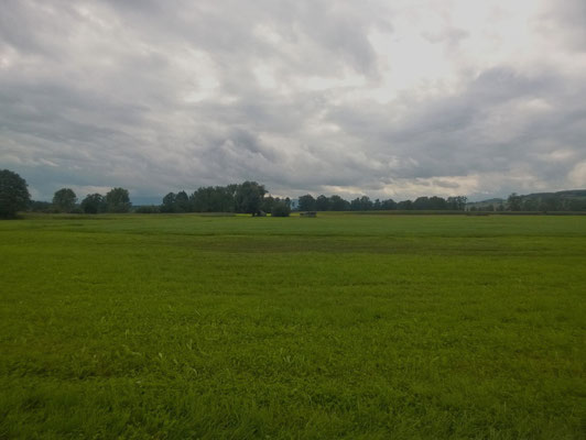 Die Landschaft bei der Maschwander Allmend ist topfeben 