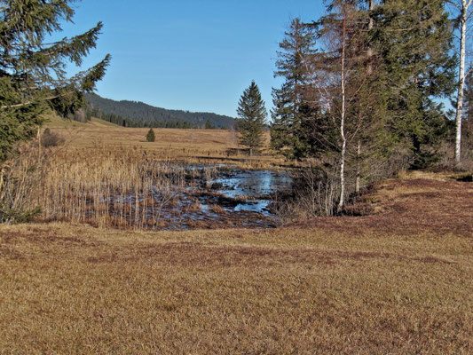 Moorweiher