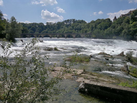 Eisenbahnbrücke oberhalb des Rheinfalls