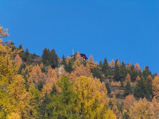 Oberhalb des Lärchenwaldes thront die Hütte nahe am Abgrund