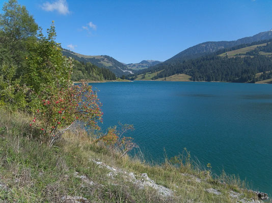 Lac de L'Hongrin