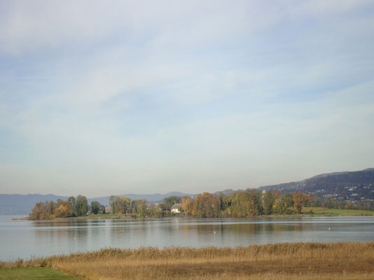 Die malerische Insel Ufenau im Zürichsee. Sie liegt auf Schwyzer Kantonsgebiet und gehört dem Kloster Einsiedeln. 