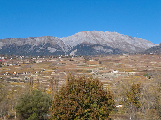 Die Weinberge zwischen Sion und Savièse profitieren von einer sehr sonnigen Lage