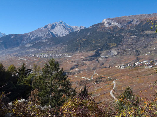 Blick zu den Weinbergen von Erde. Hinten Haut de Cry