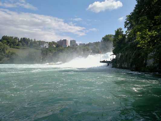 Blendend weisse Gischt des Rheinfalls