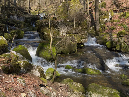 Moosbewachsene Felsen