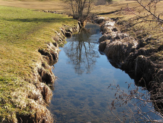 Spiegelungen