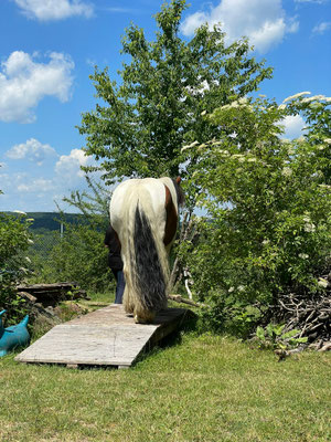 Naturparktrail in Mönchberg am 31.05.2025