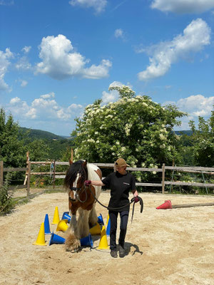 Naturparktrail in Mönchberg am 31.05.2025
