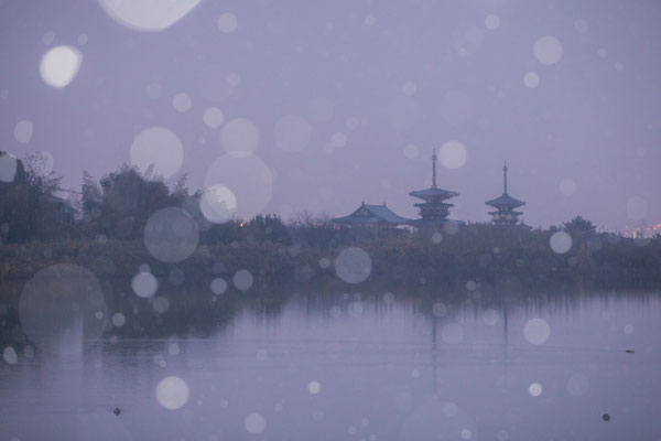 Snowing view to twin pagodas of Yakushi-ji