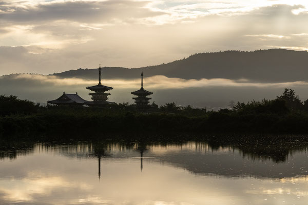 The twin pagodas of Yakushi-ji in the morning mist