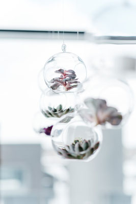 Hängende Glasvasen für Hochzeit oder Event – Dekoration zum Aufhängen