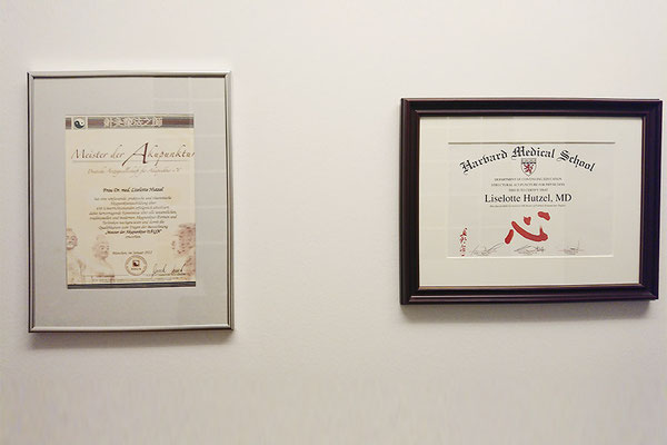 Master of Acupuncture - Praxis Dr. Liselotte Hutzel